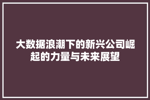 大数据浪潮下的新兴公司崛起的力量与未来展望