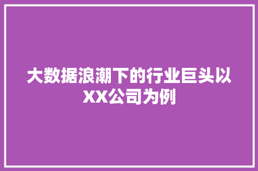大数据浪潮下的行业巨头以XX公司为例