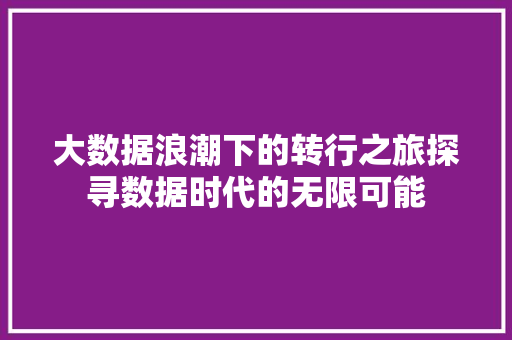 大数据浪潮下的转行之旅探寻数据时代的无限可能