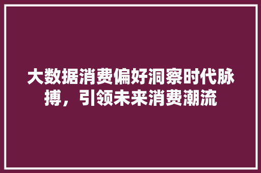 大数据消费偏好洞察时代脉搏，引领未来消费潮流