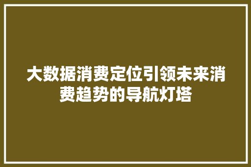 大数据消费定位引领未来消费趋势的导航灯塔