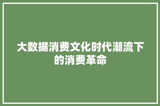 大数据消费文化时代潮流下的消费革命  第1张