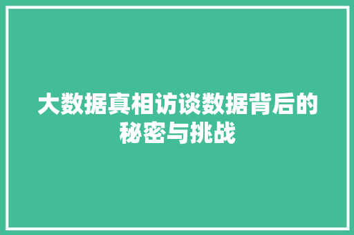 大数据真相访谈数据背后的秘密与挑战  第1张
