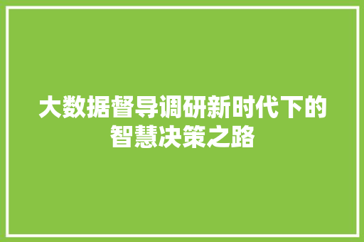 大数据督导调研新时代下的智慧决策之路
