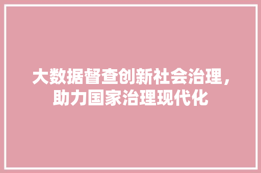 大数据督查创新社会治理，助力国家治理现代化