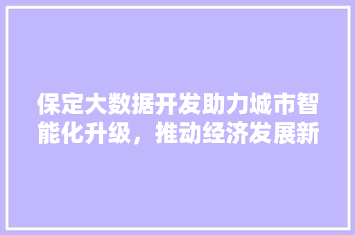 保定大数据开发助力城市智能化升级，推动经济发展新引擎