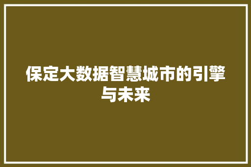 保定大数据智慧城市的引擎与未来
