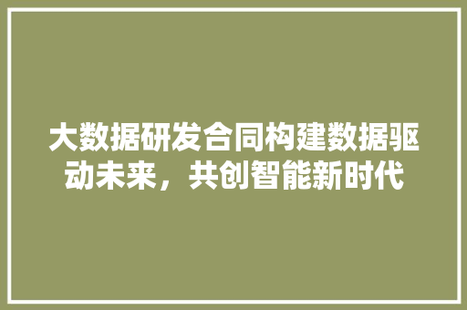 大数据研发合同构建数据驱动未来，共创智能新时代