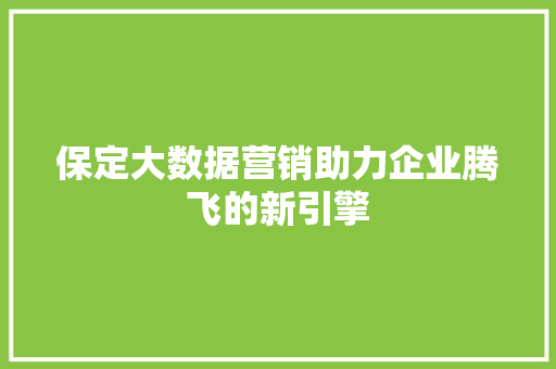 保定大数据营销助力企业腾飞的新引擎  第1张