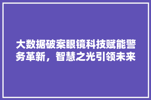大数据破案眼镜科技赋能警务革新，智慧之光引领未来侦查  第1张