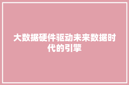 大数据硬件驱动未来数据时代的引擎