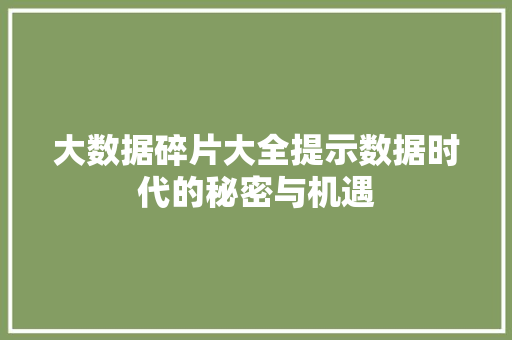 大数据碎片大全提示数据时代的秘密与机遇