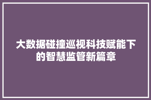 大数据碰撞巡视科技赋能下的智慧监管新篇章
