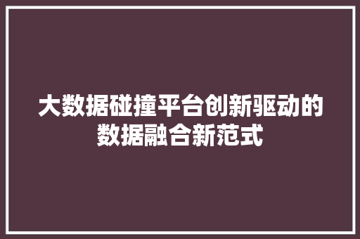 大数据碰撞平台创新驱动的数据融合新范式