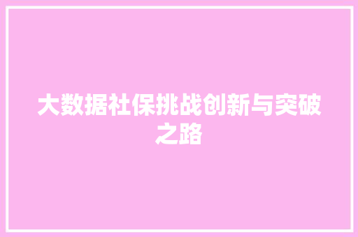 大数据社保挑战创新与突破之路