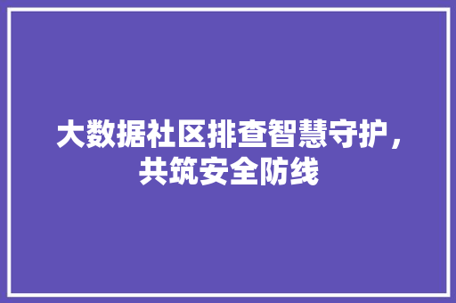 大数据社区排查智慧守护，共筑安全防线