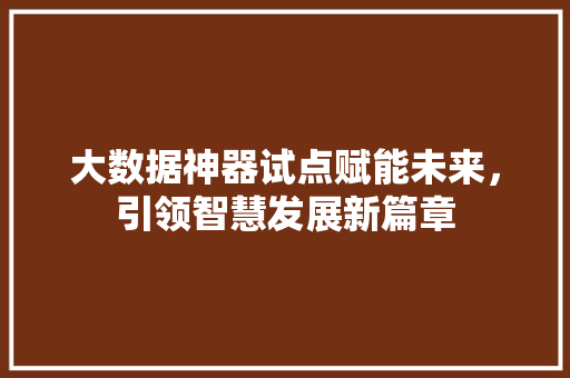大数据神器试点赋能未来，引领智慧发展新篇章  第1张