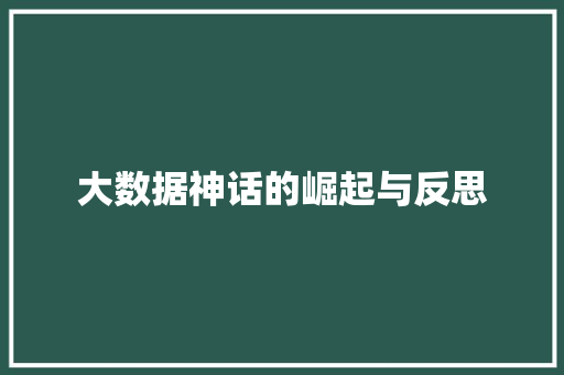 大数据神话的崛起与反思