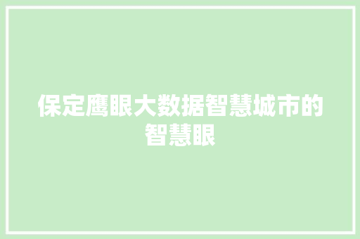 保定鹰眼大数据智慧城市的智慧眼