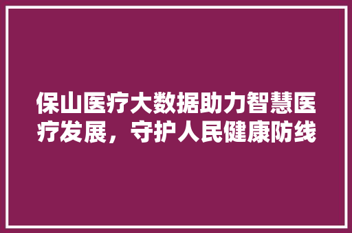 保山医疗大数据助力智慧医疗发展，守护人民健康防线