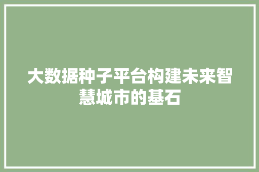 大数据种子平台构建未来智慧城市的基石