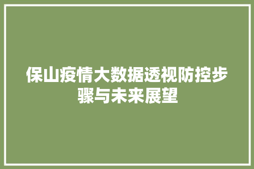 保山疫情大数据透视防控步骤与未来展望