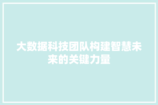 大数据科技团队构建智慧未来的关键力量  第1张