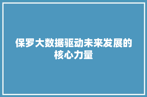 保罗大数据驱动未来发展的核心力量