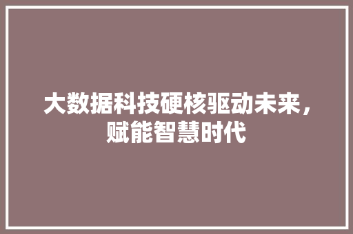 大数据科技硬核驱动未来，赋能智慧时代  第1张
