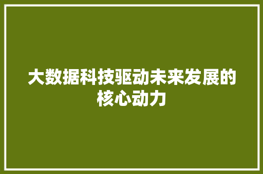 大数据科技驱动未来发展的核心动力