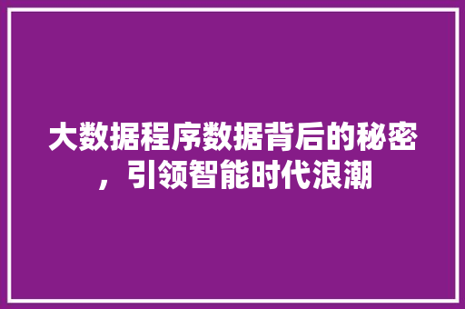 大数据程序数据背后的秘密，引领智能时代浪潮