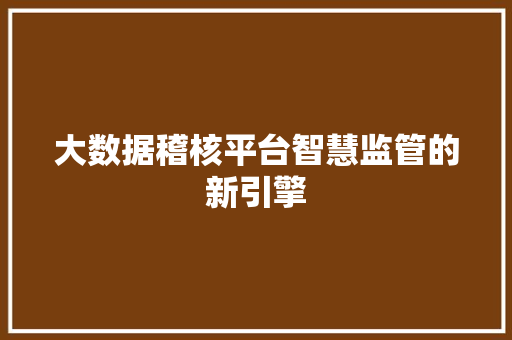 大数据稽核平台智慧监管的新引擎