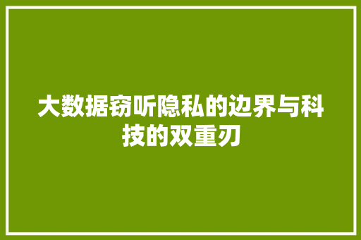 大数据窃听隐私的边界与科技的双重刃