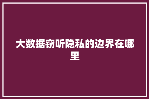 大数据窃听隐私的边界在哪里