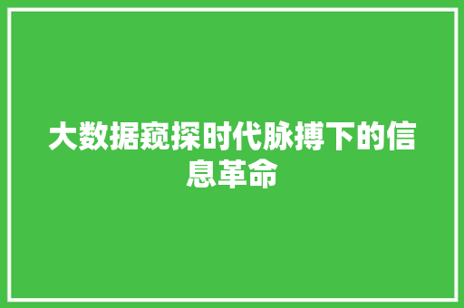 大数据窥探时代脉搏下的信息革命  第1张