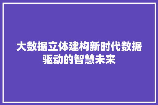 大数据立体建构新时代数据驱动的智慧未来  第1张