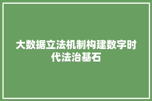大数据立法机制构建数字时代法治基石  第1张