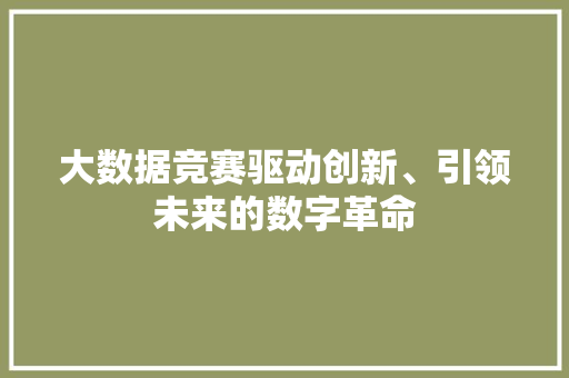 大数据竞赛驱动创新、引领未来的数字革命  第1张