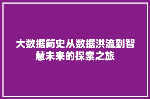 大数据简史从数据洪流到智慧未来的探索之旅  第1张