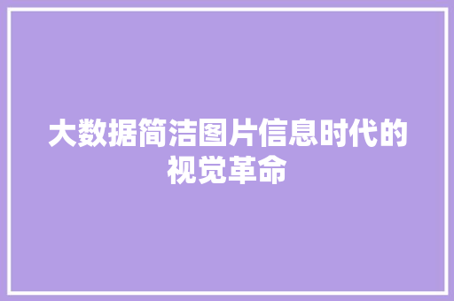 大数据简洁图片信息时代的视觉革命  第1张