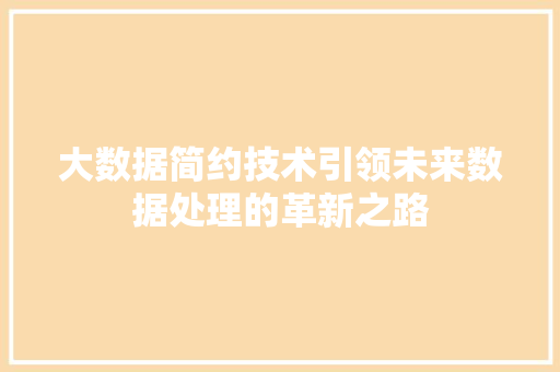 大数据简约技术引领未来数据处理的革新之路  第1张