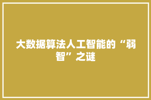 大数据算法人工智能的“弱智”之谜  第1张