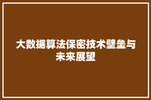 大数据算法保密技术壁垒与未来展望