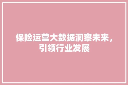 保险运营大数据洞察未来，引领行业发展  第1张