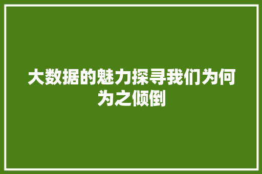 大数据的魅力探寻我们为何为之倾倒