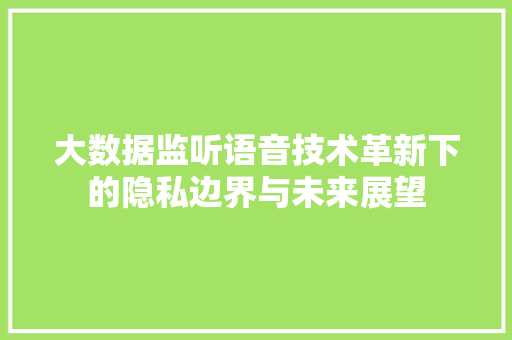 大数据监听语音技术革新下的隐私边界与未来展望