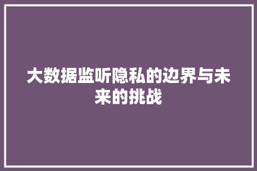 大数据监听隐私的边界与未来的挑战