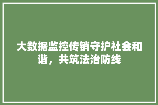 大数据监控传销守护社会和谐，共筑法治防线