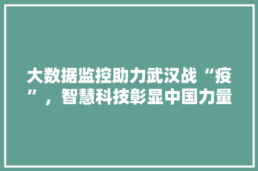大数据监控助力武汉战“疫”，智慧科技彰显中国力量  第1张