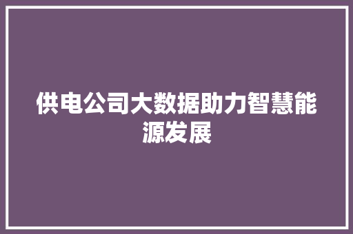 供电公司大数据助力智慧能源发展